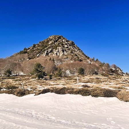 Gite De La Cigale Burzet Bagian luar foto