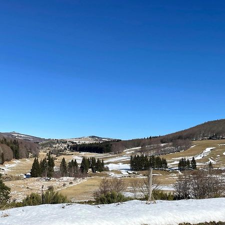 Gite De La Cigale Burzet Bagian luar foto