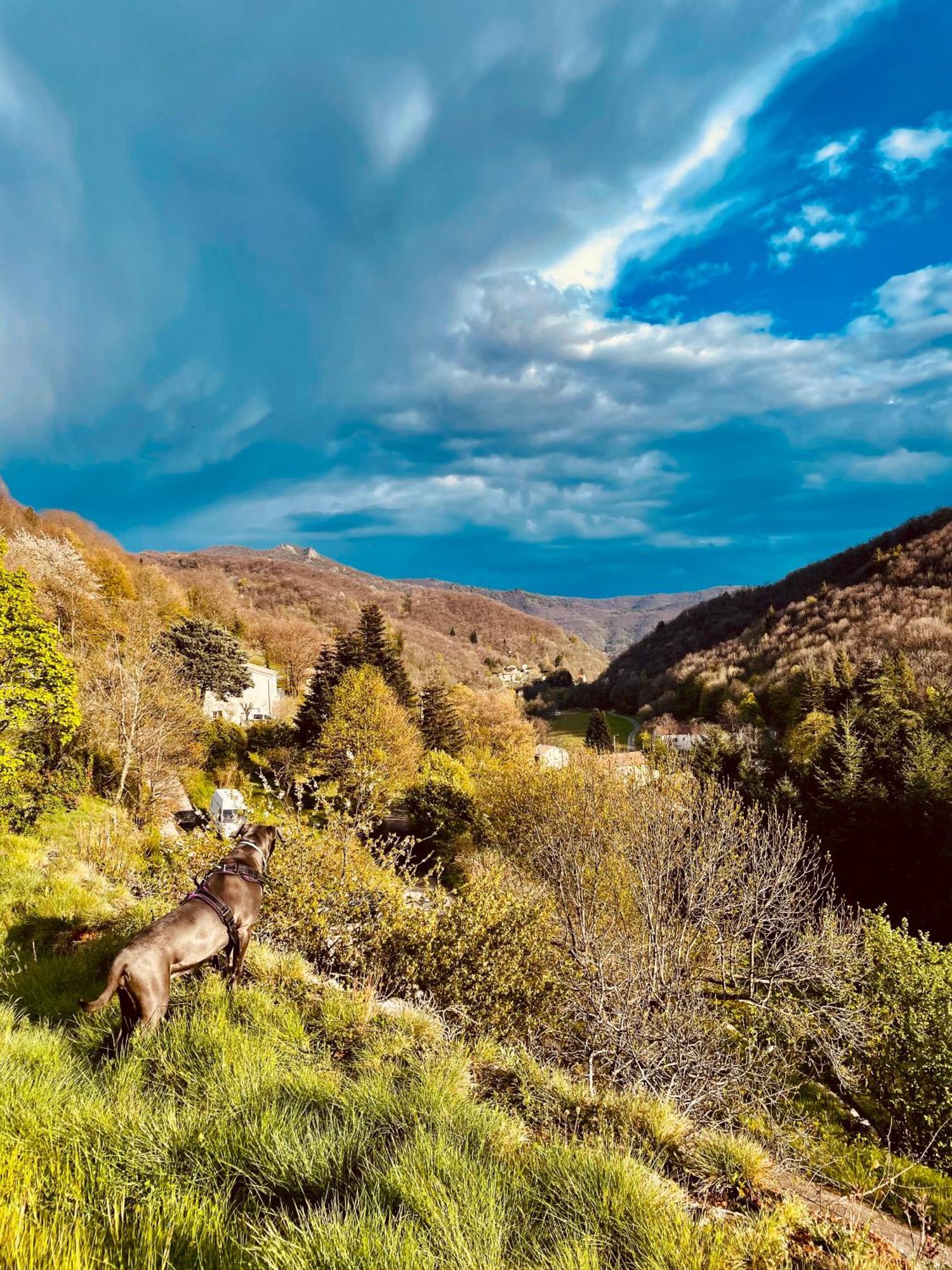 Gite De La Cigale Burzet Bagian luar foto