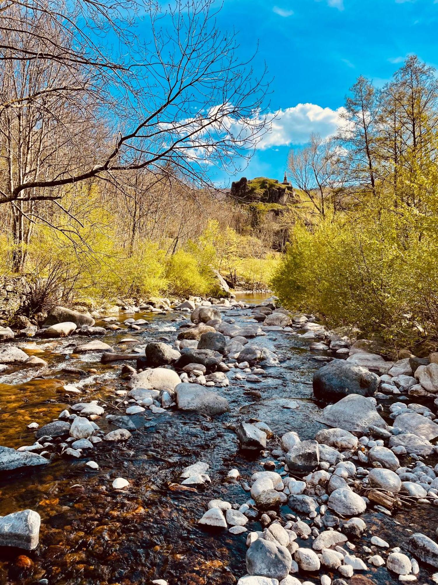 Gite De La Cigale Burzet Bagian luar foto
